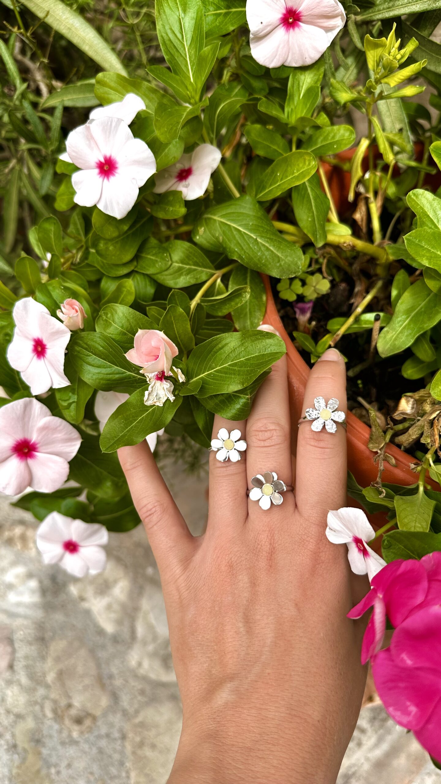 anello margherita argento